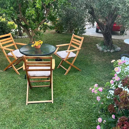 Olive Grove Vodice