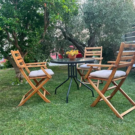 Olive Grove * Vodice