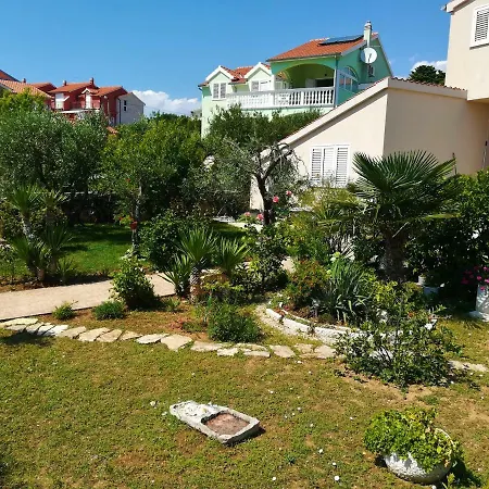 Olive Grove * Vodice