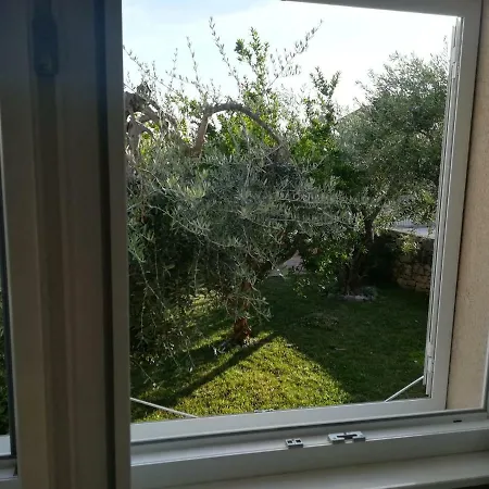 Olive Grove Vodice